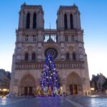 クリスマス・ツリーとノートルダム大聖堂　パリのクリスマス風景