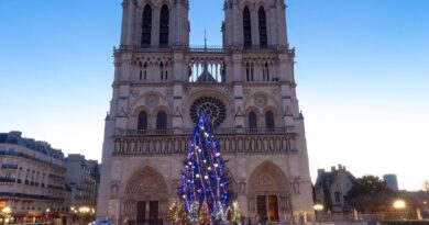クリスマス・ツリーとノートルダム大聖堂　パリのクリスマス風景