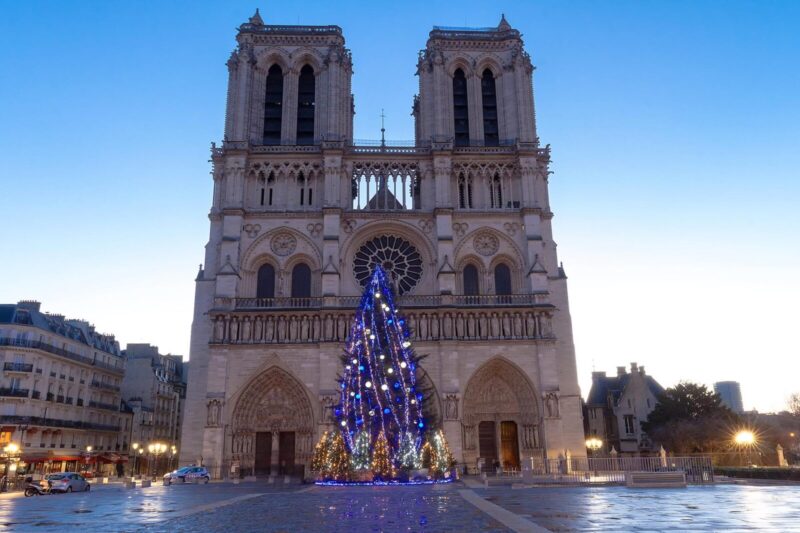 クリスマス・ツリーとノートルダム大聖堂　パリのクリスマス風景